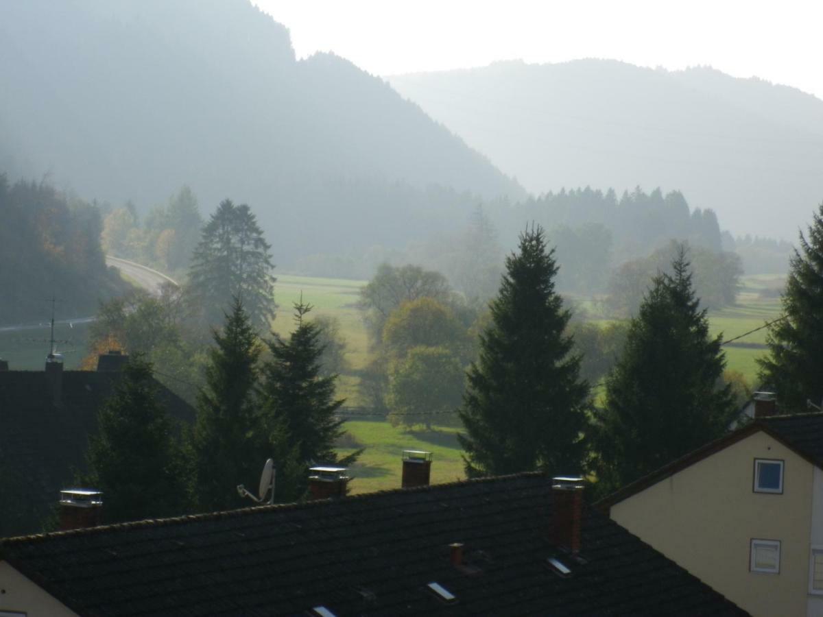 Apartmán Urseetalblick Wg 7 Lenzkirch Exteriér fotografie